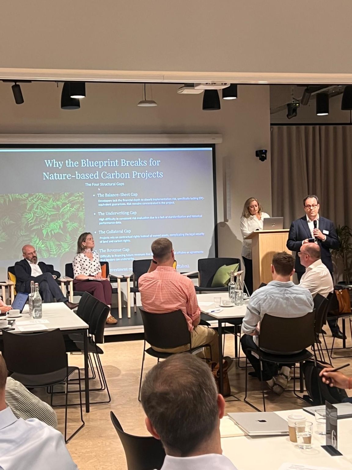 The Future of Carbon Finance — Practitioner Working Session — event london panel gaps