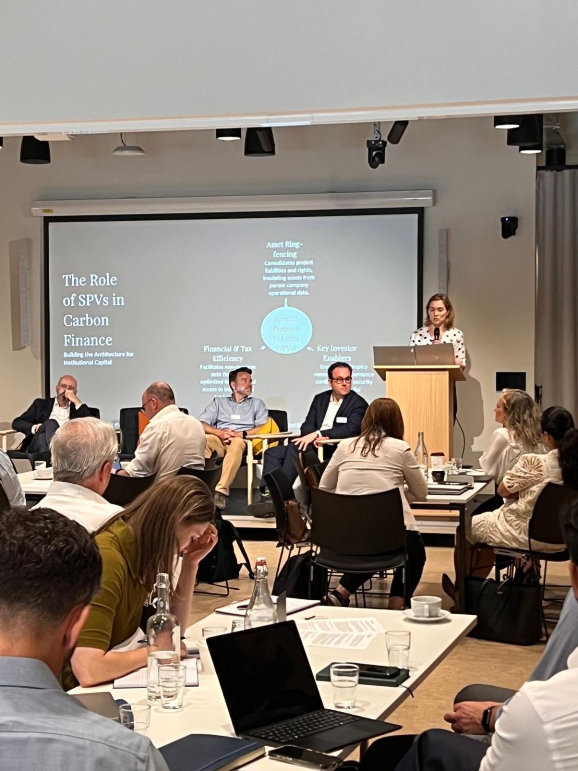 The Future of Carbon Finance — Practitioner Working Session